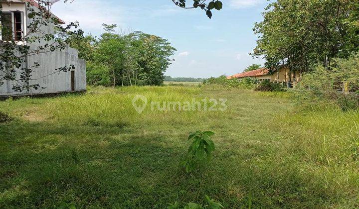 Dijual Tanah Di Pinggir Jalan Raya Kajen Wirodeso, Pekalongan Dekat Toll 1