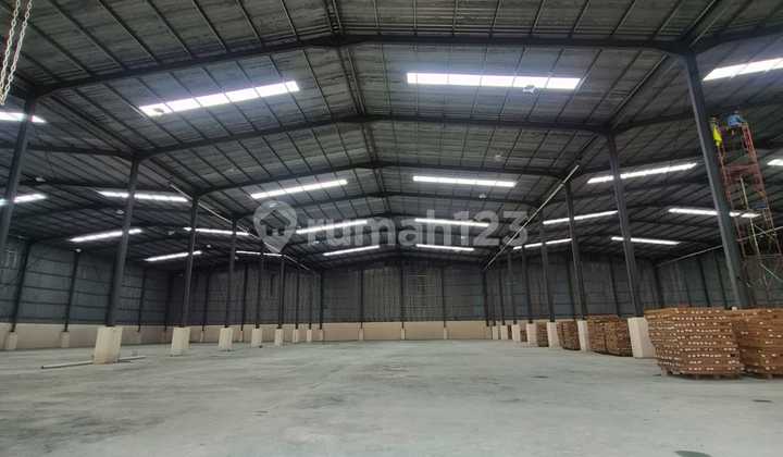 New Warehouse Ready to Use, Strategic and Spacious Location in Paku Haji New Warehouse Ready to Use, Strategic and Spacious Location in Paku Haji
