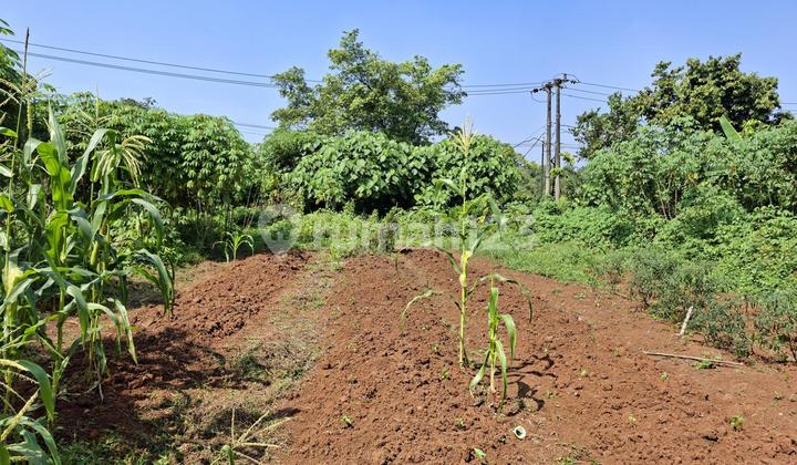 Industrial Plot in Legok Tangerang Good Location Ready to Use Industrial Plot in Legok Tangerang Good Location Ready to Use