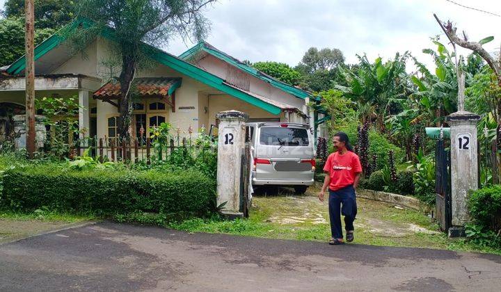 Rumah Kebun SHM 1550 M Jl.babakan Indah Banjar Baru Ciawi 2