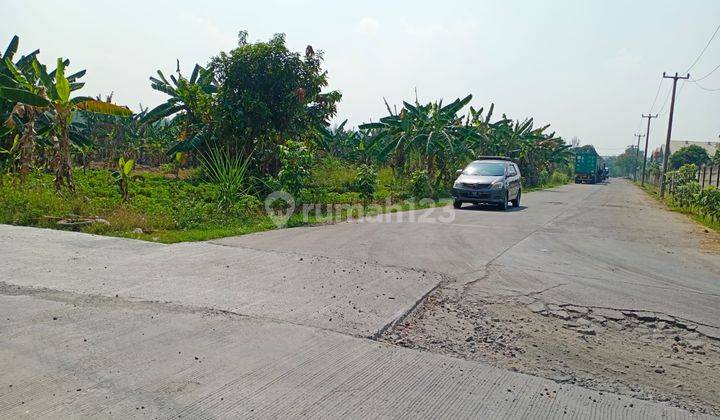 Tanah 3 Ha Kawasan Industri Korin Klapa Nunggal Cileungsi Bogor 2