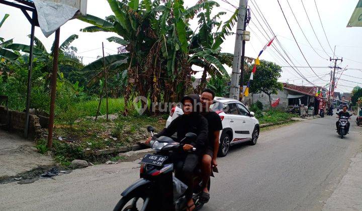 Tanah Dipinggir Jalan Cocok Untuk Toh ko Bangunan Atau Ruko di Jl Cipaku Ciomas Cutek  2