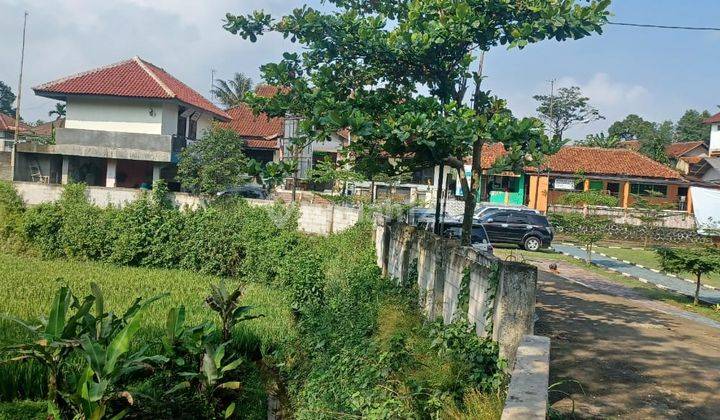 Sawah sebelah Vila dan Kantor Desa Ciburayut Cigombong Bogor 1