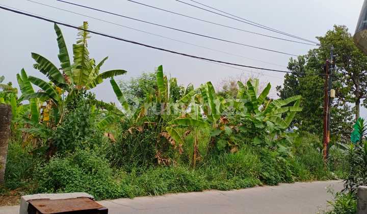 kavling 2900 m untuk cluster, rumah tinggal SHM  Ciherang Cutek Ciomas Bogor