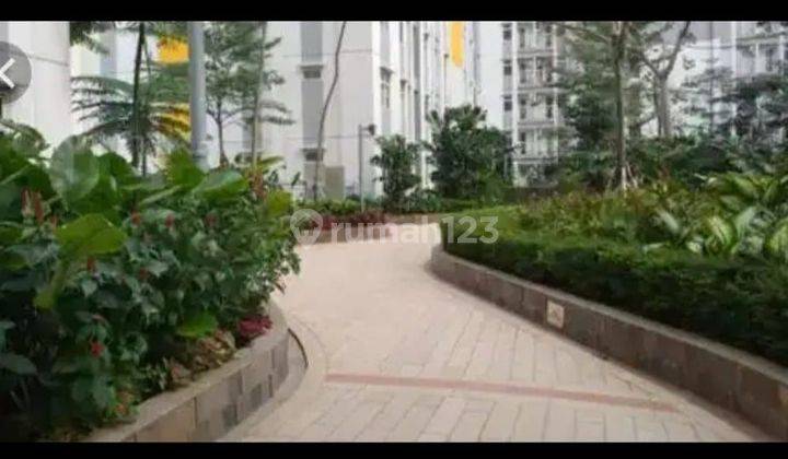 Disewakan Apartemen Studio Springlake Sumarecon Bekasi  2