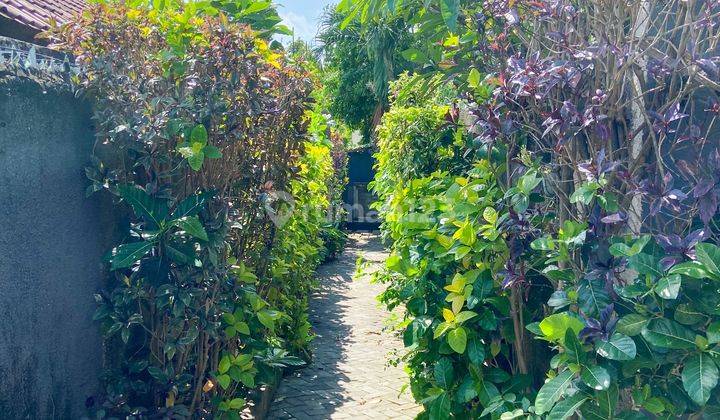 BEAUTIFUL 1 BEDROOM BALINESE IN KEROBOKAN 9