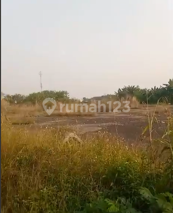 Jual di bawah pasar Kavling 5 hektar Dekat tol Grand Wisata Bekasi Jual di bawah pasar Kavling 5 hektar Dekat tol Grand Wisata Bekasi