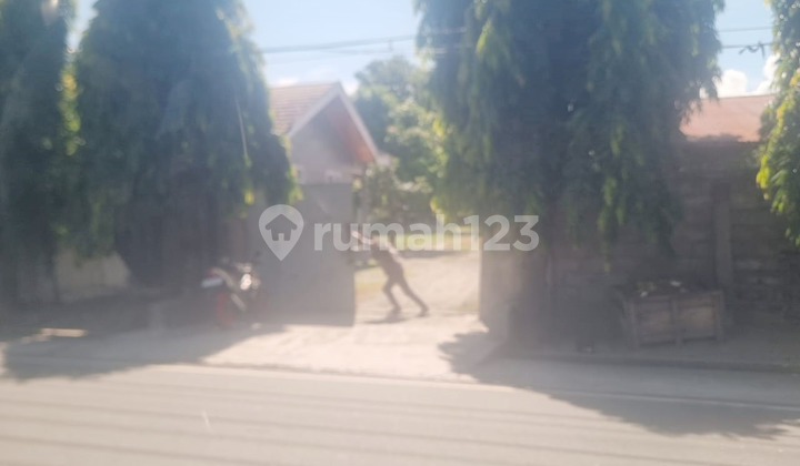 Kavling Komersial ada Bangunan Jalan Trans Sulawesi Kavling Komersial ada Bangunan Jalan Trans Sulawesi