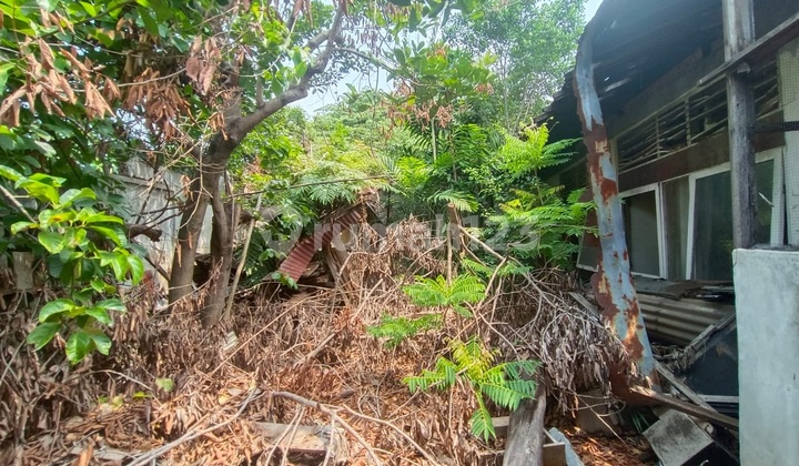 Super Murah Rumah Tua Cempaka Putih Lt 604 Jakpus 2