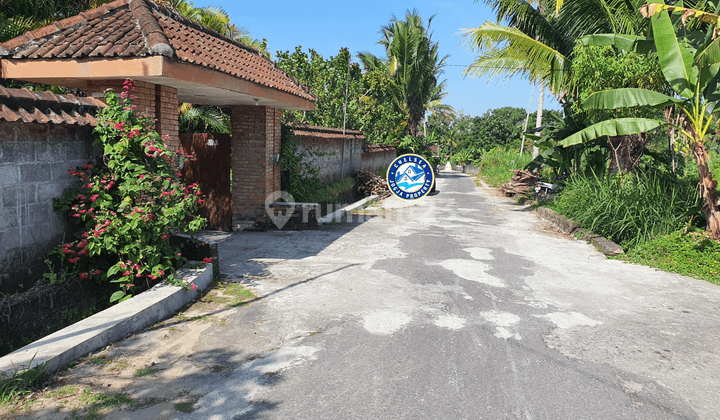 Dijual Rumah Etnik Modern Taman Luas Asri Dan Sejuk Jogja Utara 3