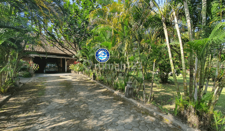 Dijual Rumah Etnik Modern Taman Luas Asri Dan Sejuk Jogja Utara 5