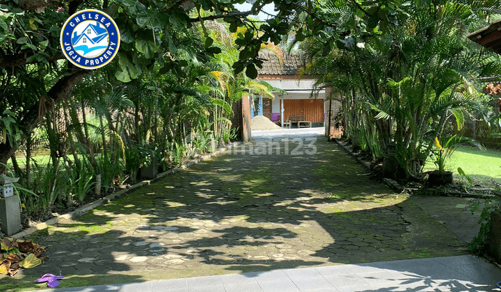 Dijual Rumah Etnik Modern Taman Luas Asri Dan Sejuk Jogja Utara 7
