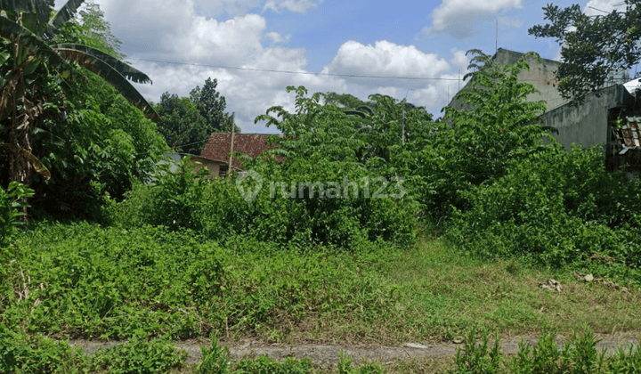 Dijual Cepat Tanah Pekarangan Kosong Tepi Jalan Utama Nogotirto 4