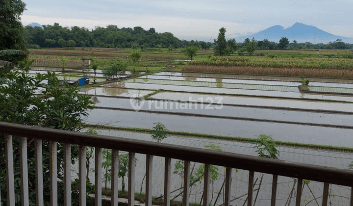 Dijual Rumah Cantik Asri 2 Lantai Jogja Selatan 21