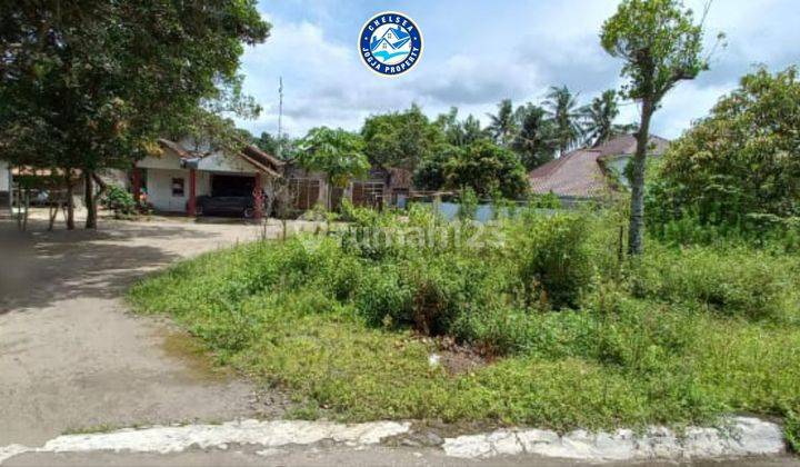 Dijual Tanah Pekarangan Cocok Untuk Investasi 2