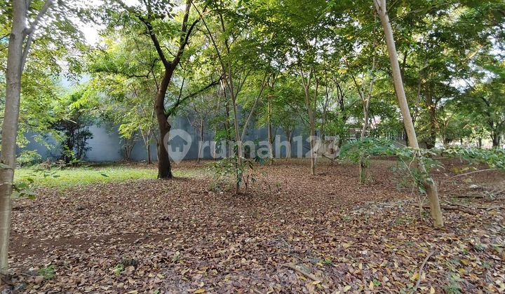 Kavling Pinisi Pik Termurahtidak Hadap Rumah Jalan Lebar