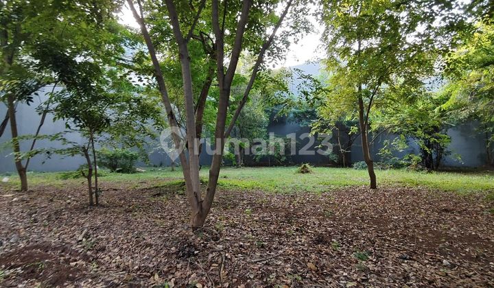 Kavling Pinisi Pik Termurah Luas 544M Cluster Private di Tengah Pik