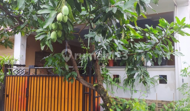 For Sale Minimalist House 2