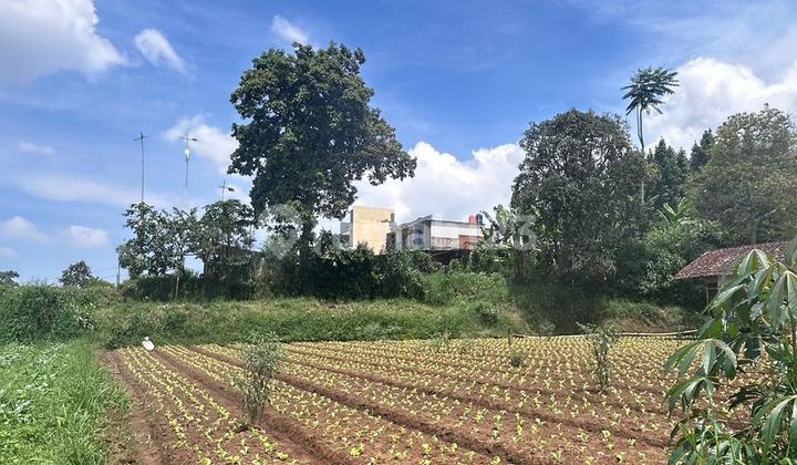 Tanah Di Ciwaruga Cigugur Girang Bagus Ada View