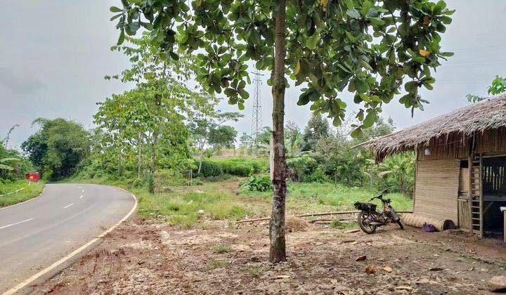 Tanah Strategis Lebak Jalan Utama Siap Bangun 2