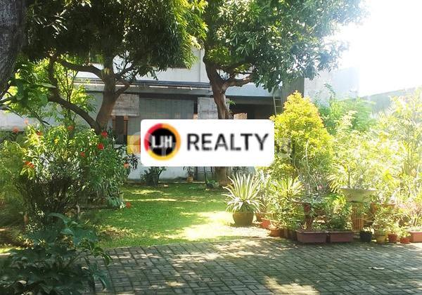 Ruko di Gajah Raya Semarang Ruko di Gajah Raya Semarang