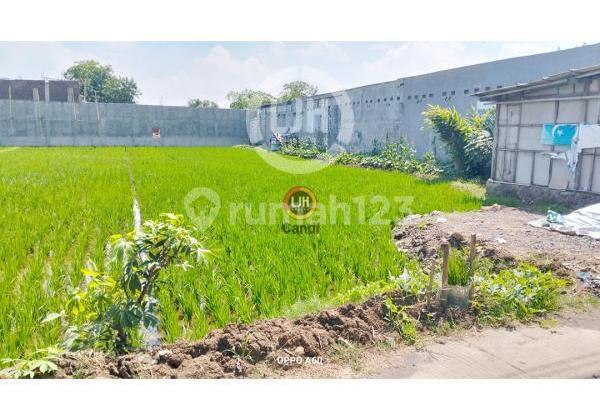 Kavling di DS Batursari Mranggen Jawa Tengah Kavling di DS Batursari Mranggen Jawa Tengah