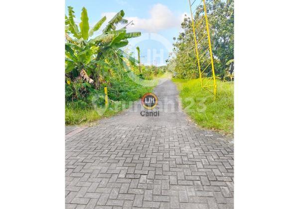 Plot in Taman Tlogomulyo Semarang 2