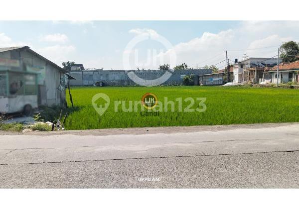 Kavling di DS Batursari Mranggen Jawa Tengah Kavling di DS Batursari Mranggen Jawa Tengah