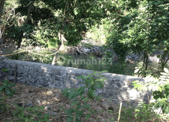 River Side Tanah Langka SHM Tepi Sungai Dan Dekat Pantai 5