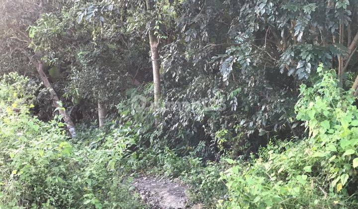 Tanah di Pinggir Jalan Raya Berlokasi di Goa Gong 6