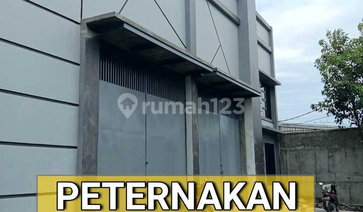 Gedung Peternakan SHM Daerah Pergudangan Kapuk Kamal