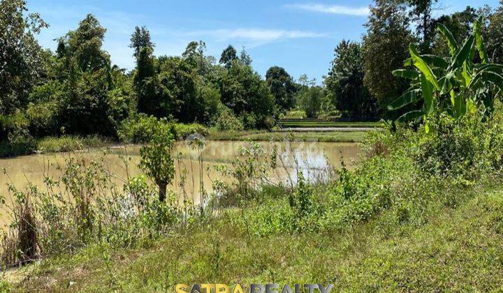 Tanah Sepang Serang Banten Siap Olah Jalan Raya 1