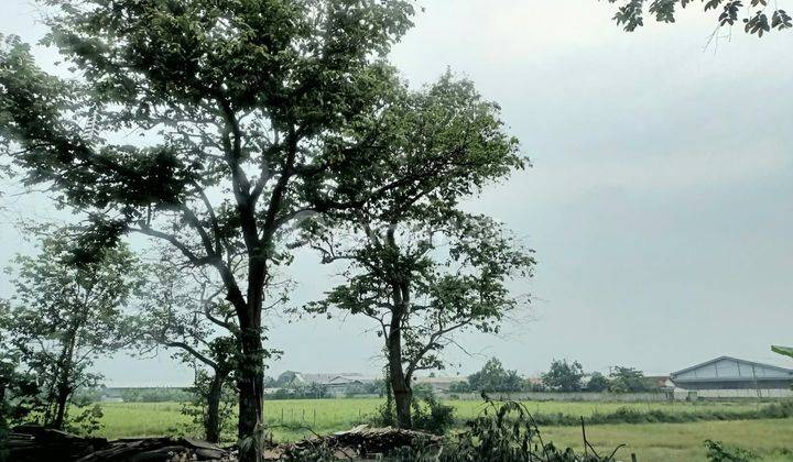 Dijual Cepat Tanah Industri Pasar Kemis Tangerang Dekat Akses Tol 1