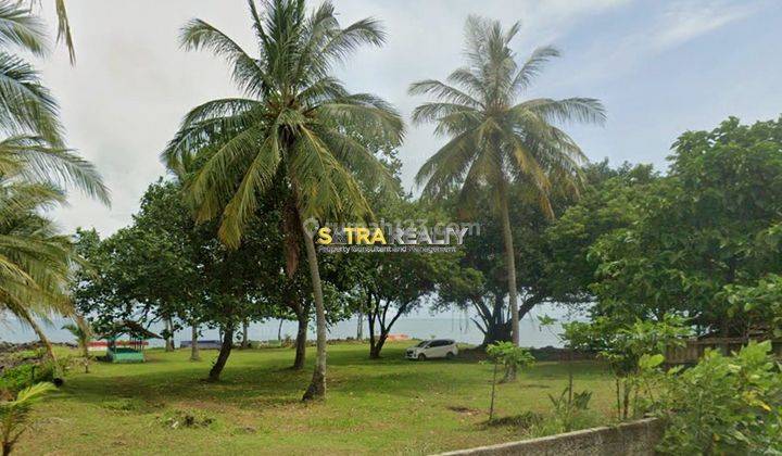 Tanah Di Anyer Dengan Izin Resort Dan Akses Pantai Harga Termurah 2