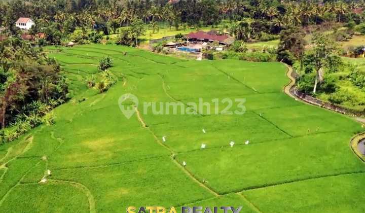 tanah di bali dengan izin hotel dekat bali zoo tanah di bali dengan izin hotel dekat bali zoo
