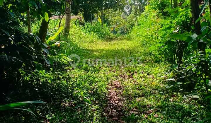 Dijual Lahan View Air Terjun di Tampaksiring Bali
