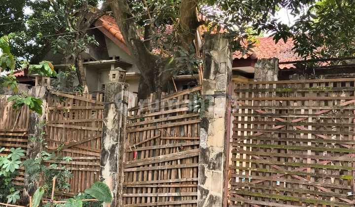 Dijual Cepat Rumah Tua Hitung Tanah di Lippo Karawaci