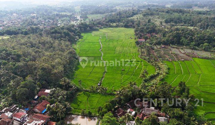 Tanah Luas 20 Ha Bisa Dibeli Partial Di Cianjur 1