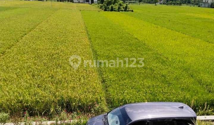 Rumah 2 Lantai Minimalis Di Jogja 30 Menit Kampus Ugm  3
