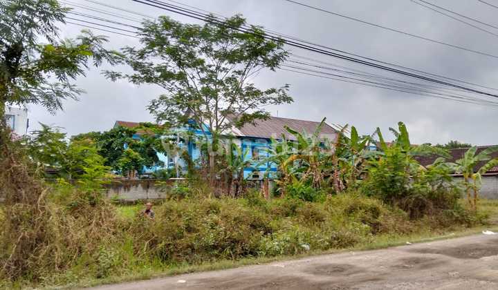 Pekarangan Land in Prambanan, Sleman, Near Regional General Hospital and State Schools Pekarangan Land in Prambanan, Sleman, Near Regional General Hospital and State Schools