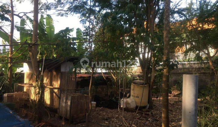 Hot Listing Land At Convenient Area Benoa 2