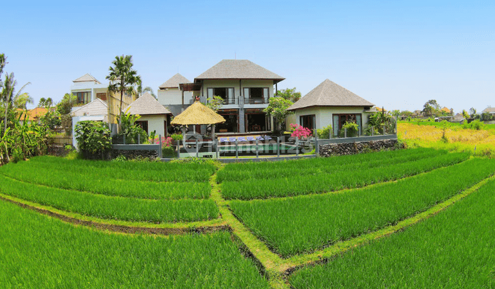 Magnificent Villa With Stunning View Canggu. 1