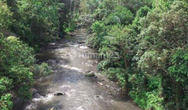 Premier Land With River View And Villa Enclave In Lodtunduh 1