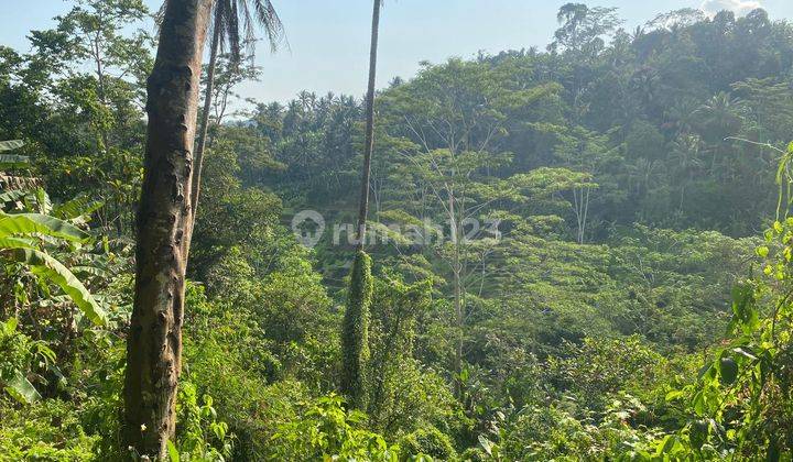 Prime Freehold Land With Picturesque Terrace Views In Tegallalang 2