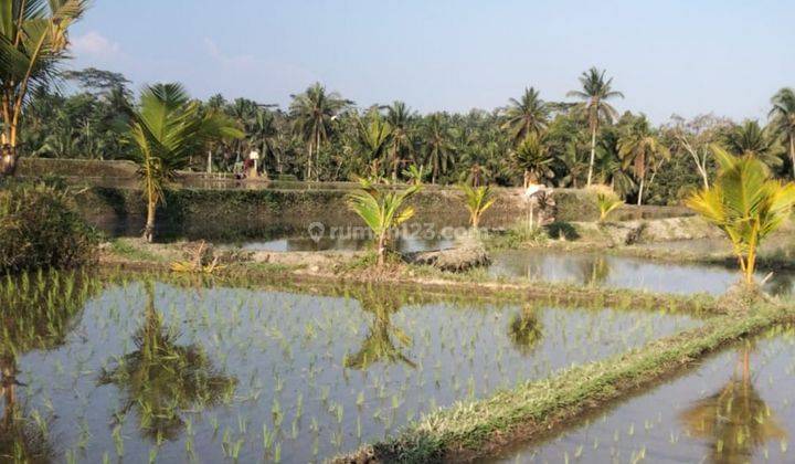 Exceptional Land Lease Opportunity In Laplapan, Ubud 2