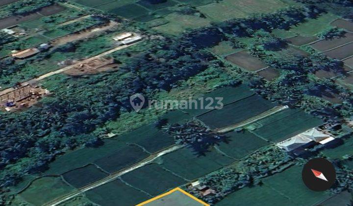 Rare Opportunity Of Exclusive Land In Pejeng, Ubud 1