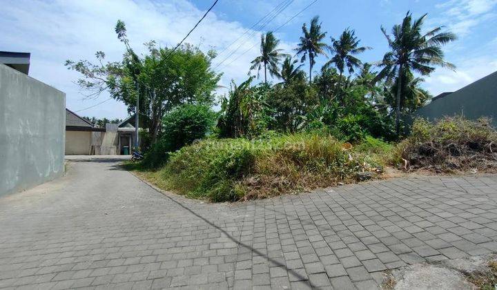 Prime Land For Lease In Mas Ubud,gianyar