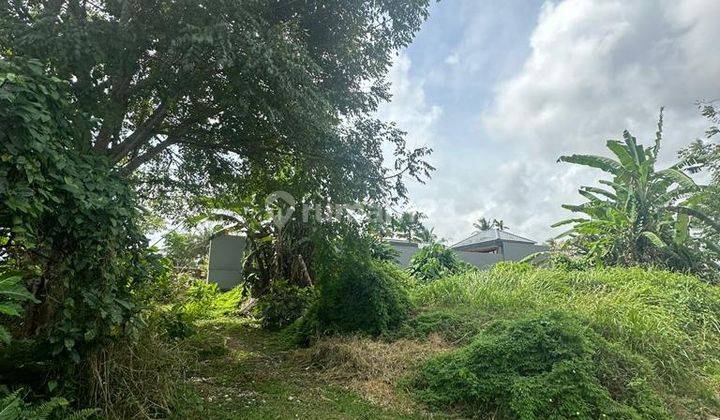 Prime Land For Lease In Mas Ubud,gianyar 2