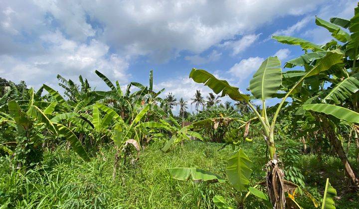  Stunning Jungle View Land In Central Ubud 1