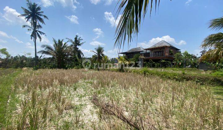 Rare Opportunity Of Exclusive Land In Pejeng, Ubud 1